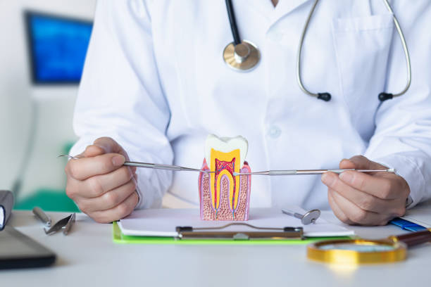 Best Emergency Treatment for Dental Infections or Abscesses in Sturgeon Bay, WI
